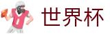 FIFA 2026世界杯服务大厅 · 官方品牌中文全站